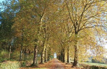 Château d'Hugémont- aile du Parc - Foto 6