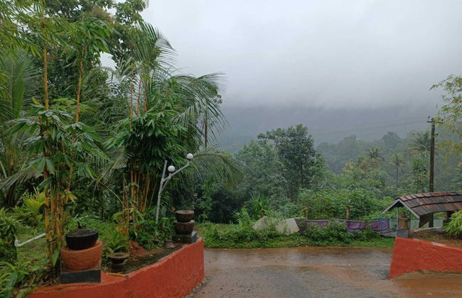 Wildmist Homestay Erumely - Foto 26