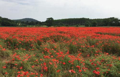 Stylish large house with heated pool in historic village - Foto 43