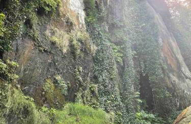 The Groves at Redway Beach - Craftsman - Foto 17