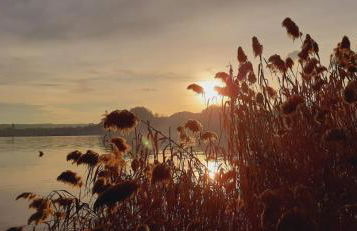 Contrada d'Amore - Foto 28