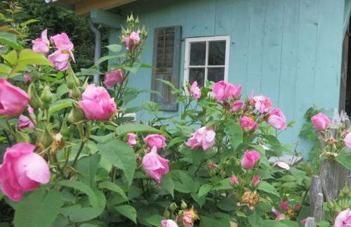 Holiday apartment with 1 bedroom - Foto 12