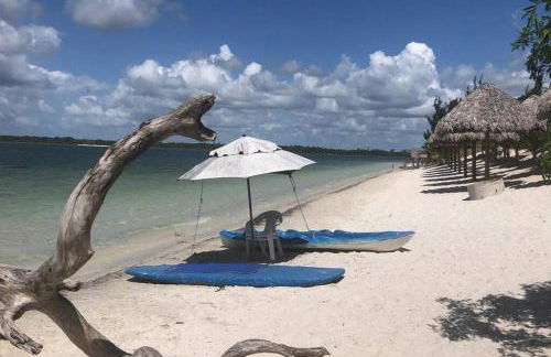 Casa carcará em Barrinha - Foto 14