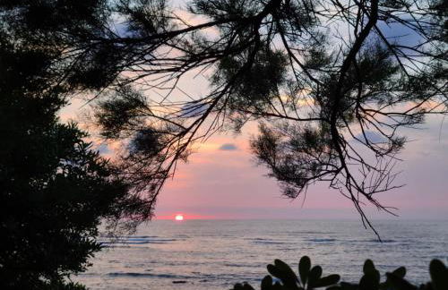 Maison Ihi-Toki - Apartamento Planta baja T2 40m2 - Apartamento Planta alta T3 54m2 - Foto 38