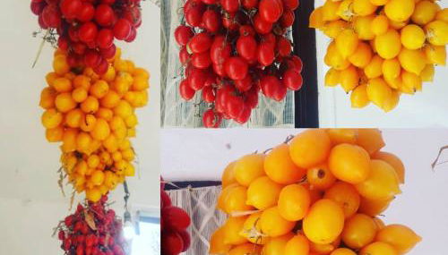 Agriturismo Il Raduno - Foto 5