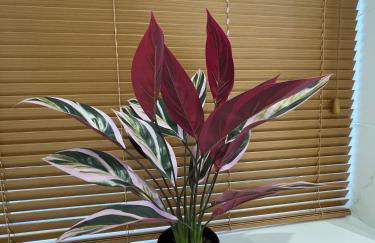 Superb large accommodation - Foto 8