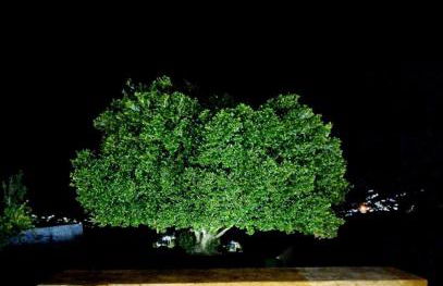 Exclusive Pena Rio - Foto 66