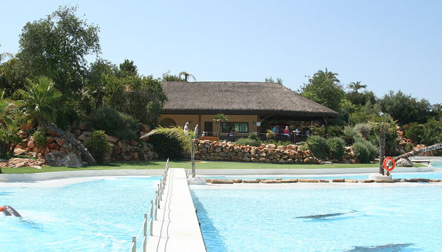 Zoomarine Emotions des dauphins - Expérience interactive - Photo 2