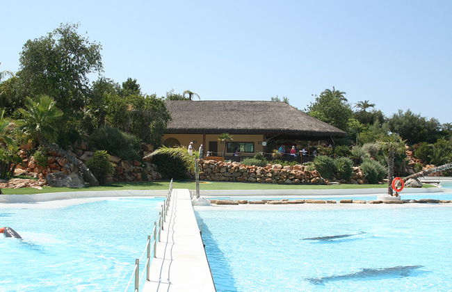 Zoomarine Emotions des dauphins - Expérience interactive - Photo 2