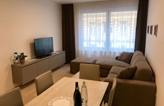 Rezidence Muzeum - Foto 15