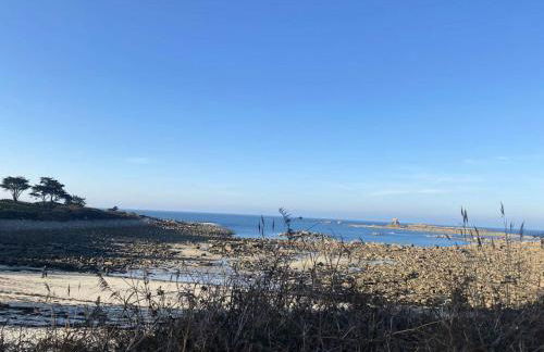 Résidence I22-ile Grande - Les Mouettes maison vue mer jardin et parking privé, plage à pied MAE-3734 - Foto 11