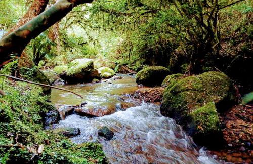 Sopro da Serra Chalés - Foto 69