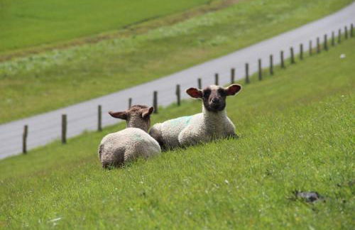 Das rote Haus hinterm Deich - Foto 29
