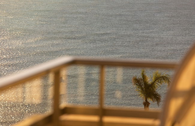 Four Seasons Penthouse Cullera - Foto 22