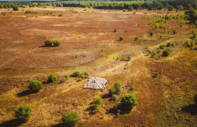 Well Furnished Mobile Home with Microwave near Water - Photo 35