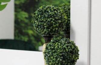 Paraíso Verde - Foto 24