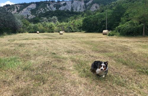 Casa Alleolina - Oasi di pace - Foto 8