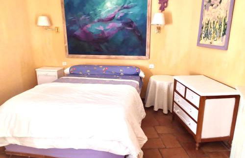 Chalet rural en La Mancha con jardin y piscina privados - Photo 6