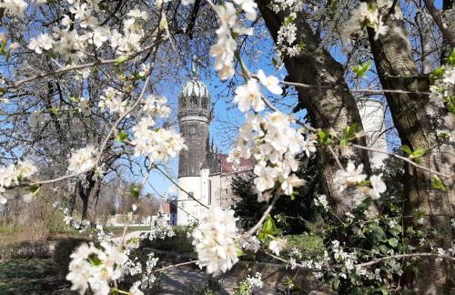 Fewo Rosenblüte am Stadtpark - Foto 10