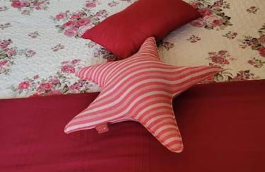 Stella Marina a 100 MT dal mare - Foto 12