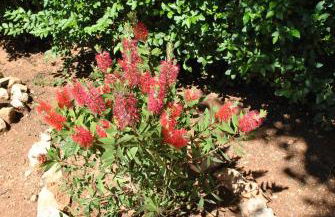 Casa Rural Ruiz Hernando - Foto 41