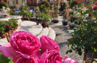 Residenza Agnello D'Oro - Foto 63