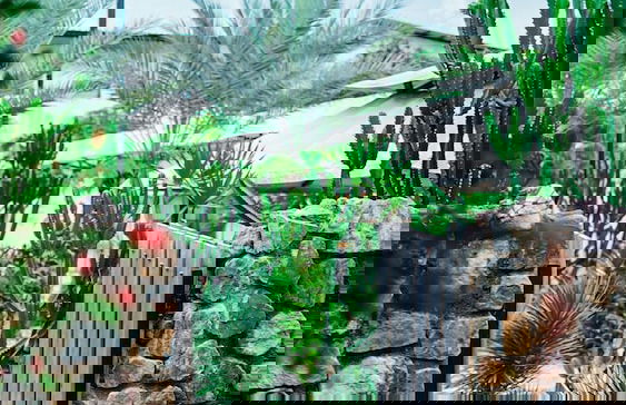 Danka Vacation Home - Foto 33