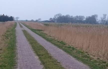 Ferienhaus Klabautermann - Foto 26