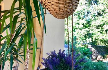 The Colours Of Chianti - Foto 22