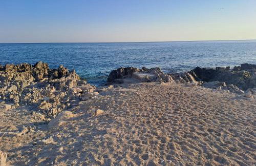 Amber Rooftop - Photo 3