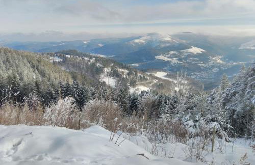 Grand Mobil Home 6 personnes climatisé avec 3 chambres et 2 salles de bains à Munster en Alsace - Foto 30