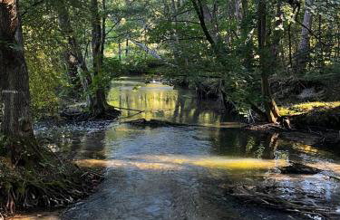 MazuryDreamHouse - Foto 58