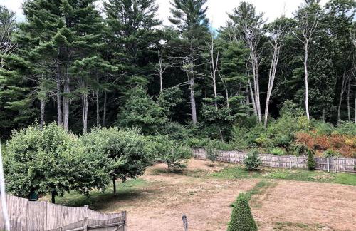 Nothing Fancy Older Pet Friendly Home near I 95 - Foto 37