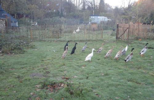 Piraten-Nest - Foto 26