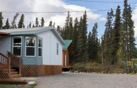 Denali Tri-Valley Cabins - Foto 38