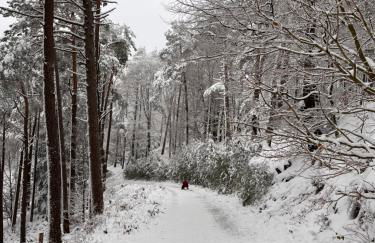 Bonne âme - Ferienwohnung mit Sauna - Foto 22