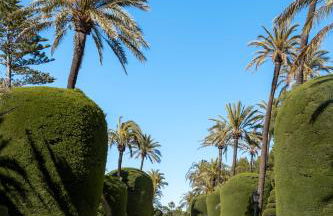 Falla Suite Bajo - Photo 13