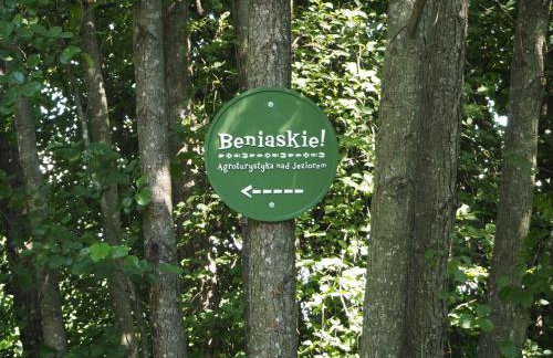 Beniaskie! Lake Lodge in West Masuria - Foto 45