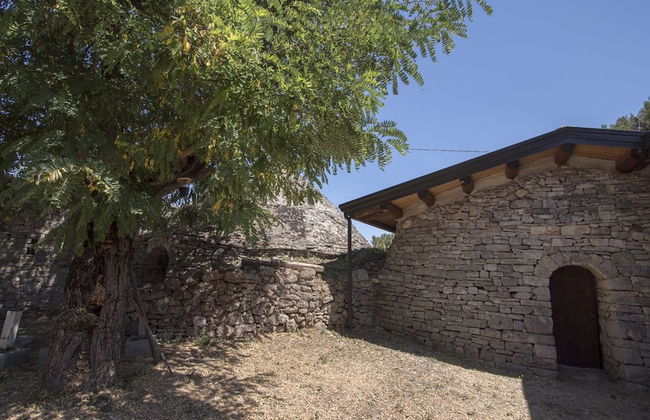 Masseria Citulo - Il Pino Grande - Foto 49