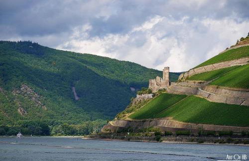 Rheinblick Apartment - Foto 35