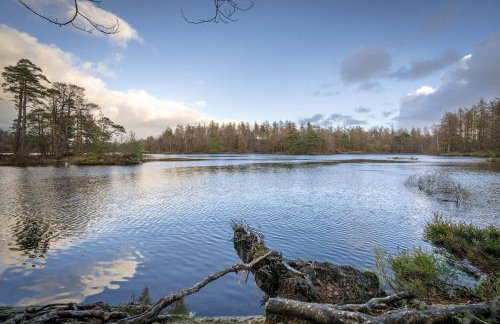 Pinewood Cottage - Newby Bridge - Foto 26