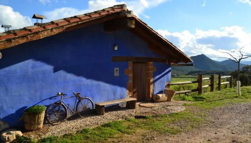 Mas de Salvador - Foto 5