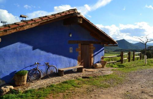 Mas de Salvador - Foto 5