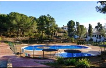 El Madroño de la Encantada - Foto 5