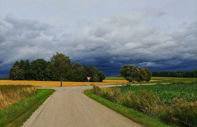 Wohnung in Rotthalmunster mit Garten - Photo 24