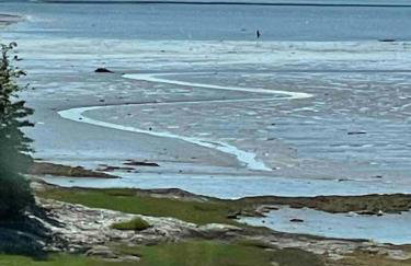 Lamoine Cove House - Foto 6