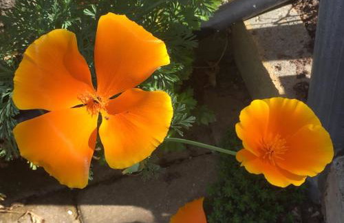 Apartments Petra - Photo 75