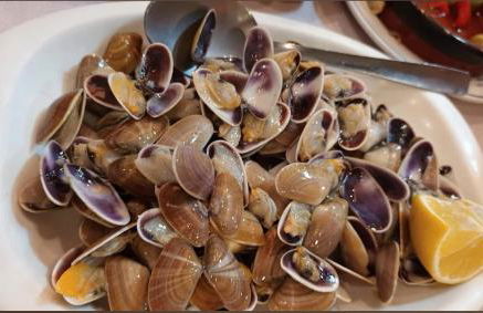 Paraiso de Santa Paula - Foto 22