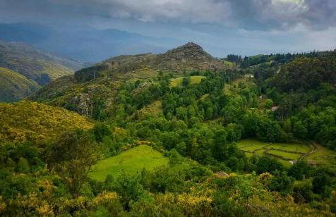 Casa Do Grilo Soajo - Foto 18