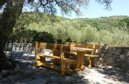 Olive Garden Apartments - Photo 11